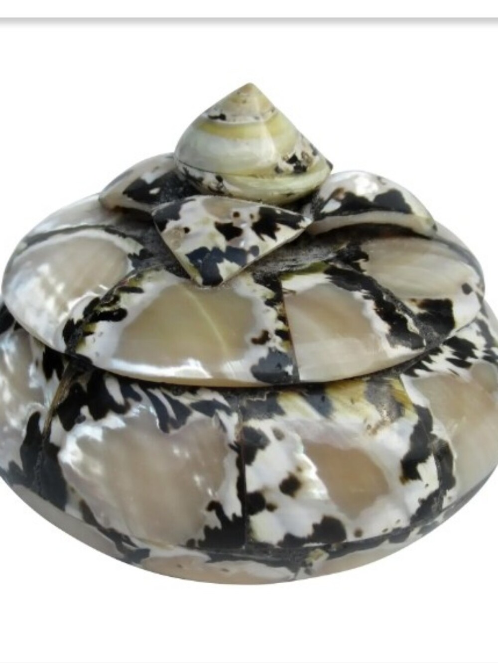 Abalone Inlay Lidded Jewelry Jar With Seashell Cabuchon Chairish